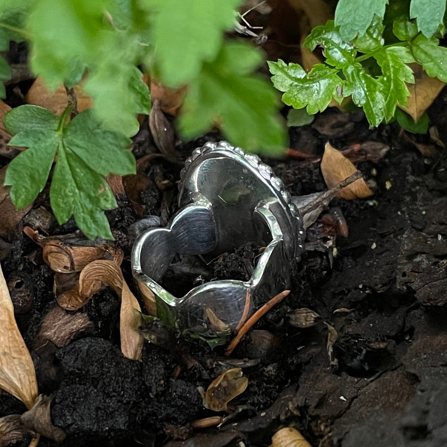 Turquoise Ring
